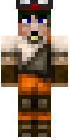 Скин по нику npminecrafter