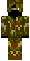 Скин по нику omen860