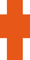 Скин по нику orangeguy555
