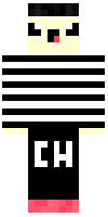 Скин по нику paigod