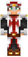 Скин по нику paladin