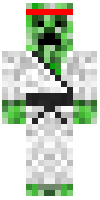 Скин по нику pandawarrior12