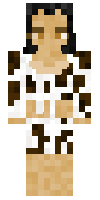 Скин по нику panzer_v0r