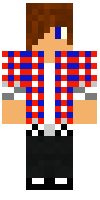 Скин по нику pelko2