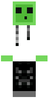 Скин по нику penguin20