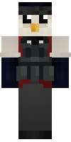 Скин по нику penguin53