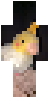 Скин по нику phoeniix
