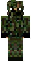 Скин по нику pinenipple