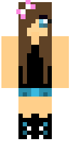 Скин по нику pocket_sunshine