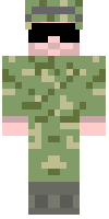Скин по нику premodder
