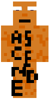 Скин по нику pro_gamer_gg