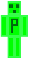 Скин по нику pryanGaming