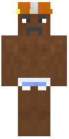Скин по нику pycraft