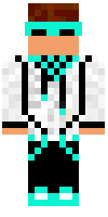 Скин по нику quinn150