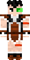 Скин по нику raditz