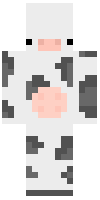 Скин по нику raimbowdash
