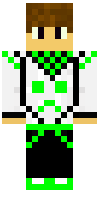 Скин по нику raph1228