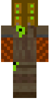 Скин по нику raptortamer