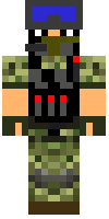 Скин по нику rax27