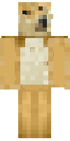 Скин по нику ray_creeper