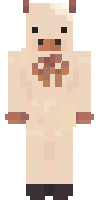 Скин по нику retro_inej