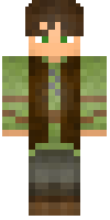 Скин по нику robin_robin