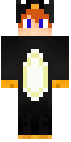 Скин по нику robw