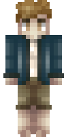 Скин по нику samwise