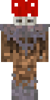 Скин по нику sandrop