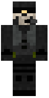 Скин по нику sas46
