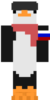Скин по нику scku