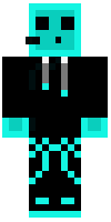 Скин по нику sectorgames100YT