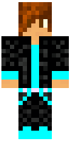 Скин по нику seth9009