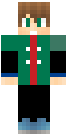 Скин по нику shariktvyt