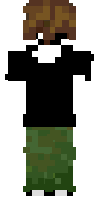 Скин по нику shish1337