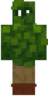 Скин по нику shrub