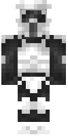 Скин по нику shyguy