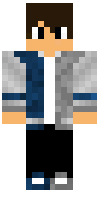 Скин по нику silver_wolf