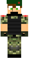 Скин по нику skrime