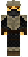 Скин по нику skyfrier