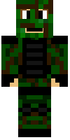 Скин по нику skylord_nickster