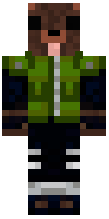 Скин по нику soldger