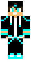 Скин по нику spartagamer5