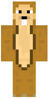 Скин по нику squirrelbadger