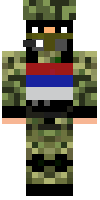 Скин по нику srbin