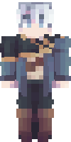 Скин по нику stardustphoenix