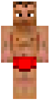 Скин по нику steelbreedman