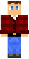 Скин по нику steveon