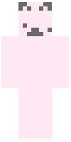 Скин по нику suki