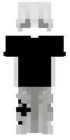 Скин по нику svg